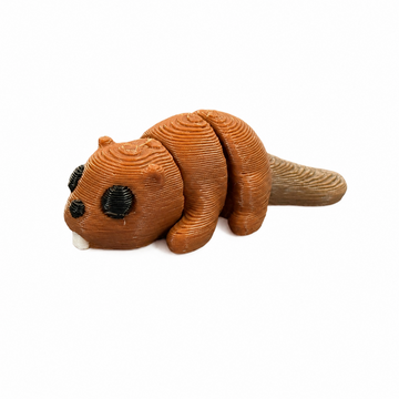 Beaver