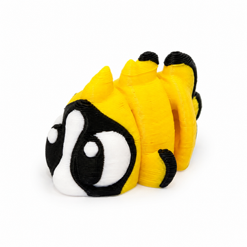 Butterfly Fish