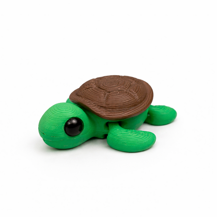3DPrinted Turtle